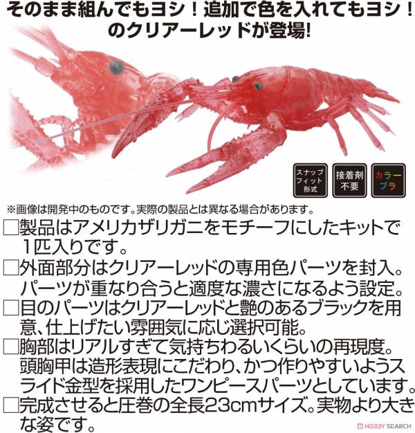 富士美 FUJIMI 自由研究 生物篇 24EX4 171050 美國螯蝦 透明紅色 