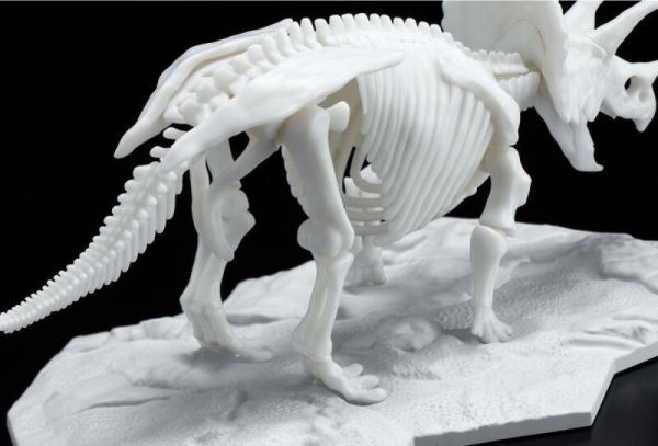 萬代 BANDAI 組裝模型 三角龍 恐龍組裝模型 LIMEX LIMEX骨骼 恐龍骨骼 