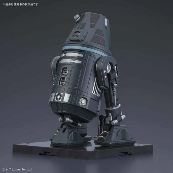 萬代 BANDAI 1/12 星際大戰 R4-I9 組裝模型 <內附R2-D2可使用的套件> 