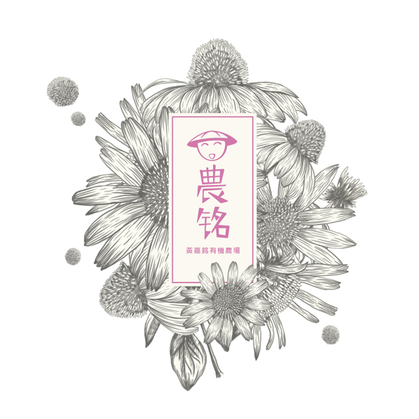 農銘  有機栽培紫錐菊茶包 