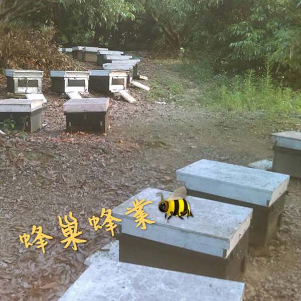 蜂巢蜂業  荔枝蜂蜜 