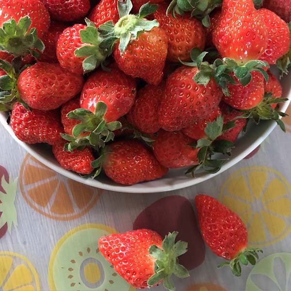 卡歐枥 豐香草莓 
