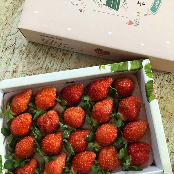 卡歐枥 豐香草莓 