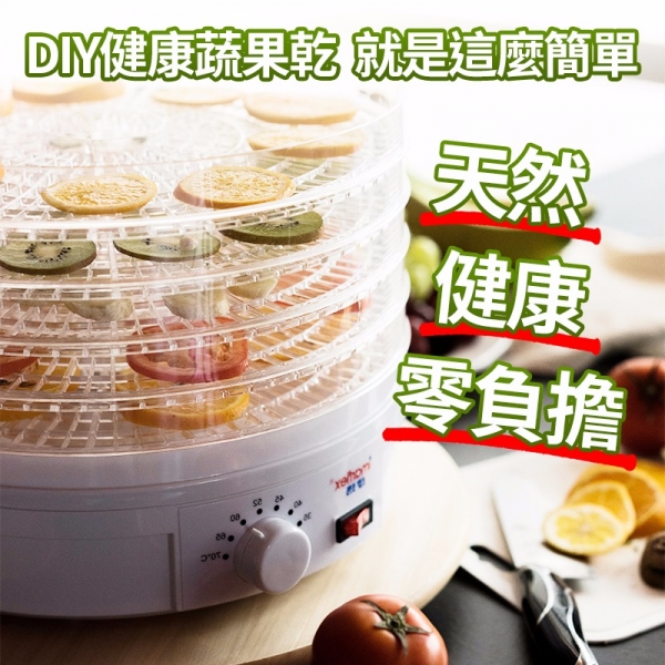 食物烘乾機推薦|食物乾燥機(1入)乾果機推薦 