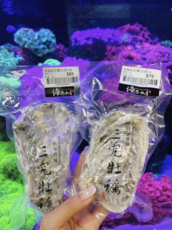 日本三究牡蠣（生食級生蠔） 
