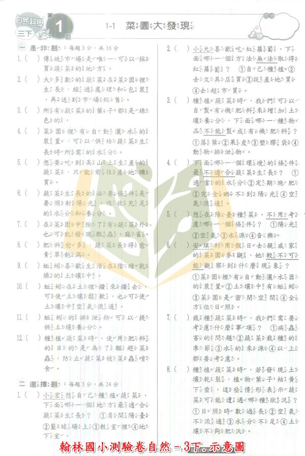 翰林國小 測驗卷 112下 國小1~6年級 國語 數學 生活 自然 社會 雙面試題 附解答 