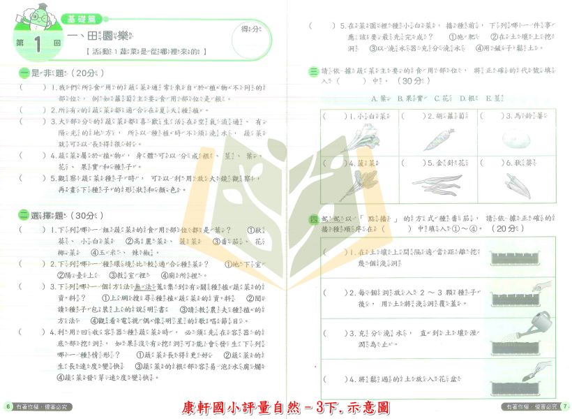 康軒國小 評量 112下 國小1~6年級 國語 數學 生活 自然 社會 附練習簿 附解答 