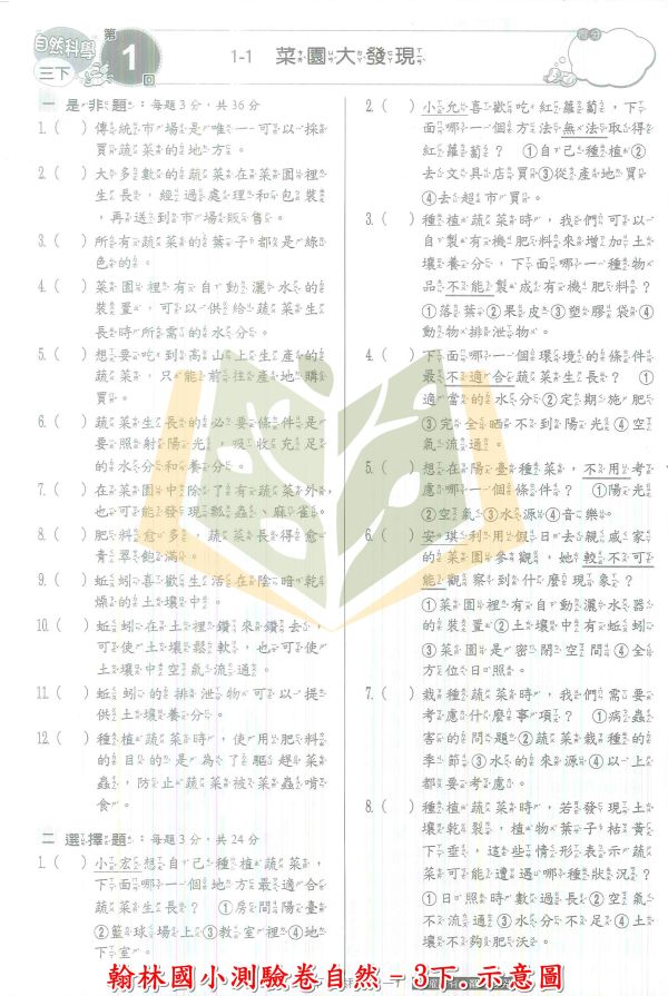 翰林國小 測驗卷 112下 國小1~6年級 國語 數學 生活 自然 社會 雙面試題 附解答 
