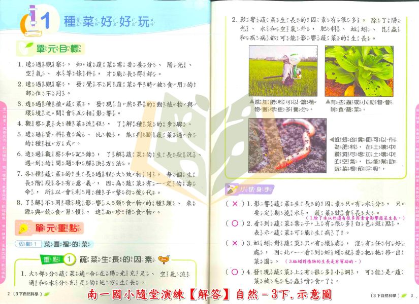 南一國小 隨堂演練 教師用 解答 112下 國小1~6年級 國語 數學 自然 社會 