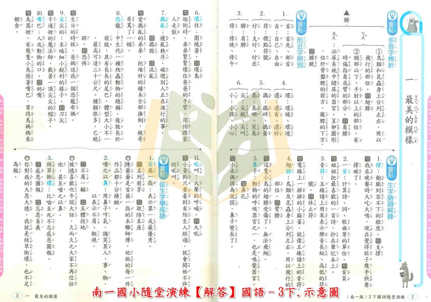 南一國小 隨堂演練 教師用 解答 112下 國小1~6年級 國語 數學 自然 社會 