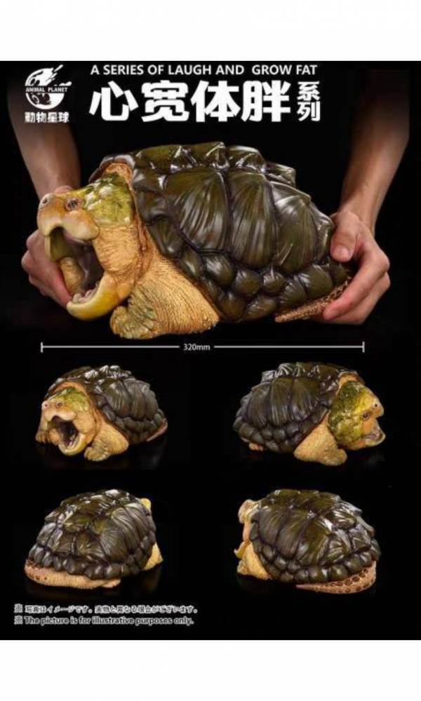 【海外代購】【32CM】動物星球 心寬體胖系列 超巨大真鱷龜 