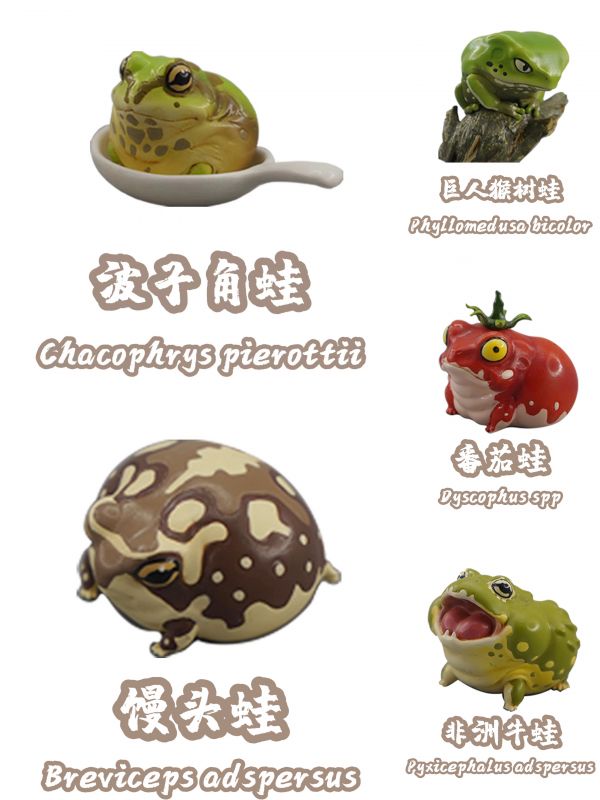 【預定】博物誌工作室新春特別版限定蛙星球mini 