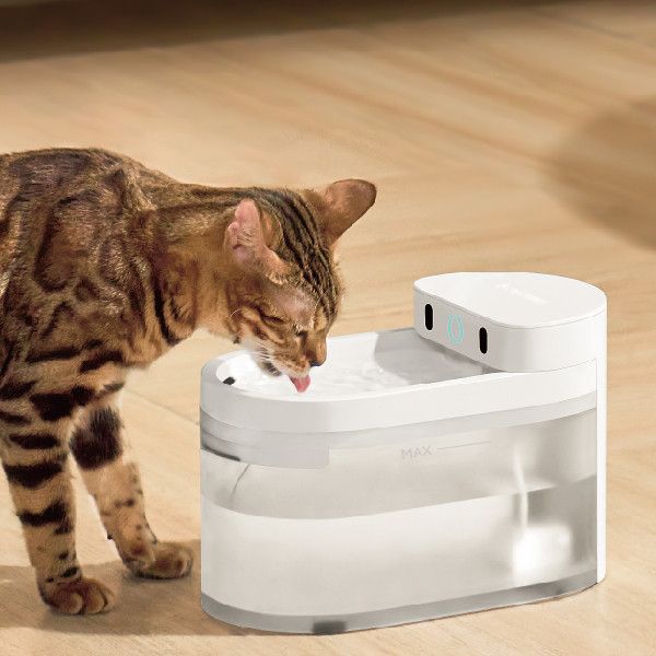 CATLINK PURE MOBILE 智慧無線飲水機(單貓版) 智慧, 自動, 飲水機, catlink, 無線, 佩奇, 小佩