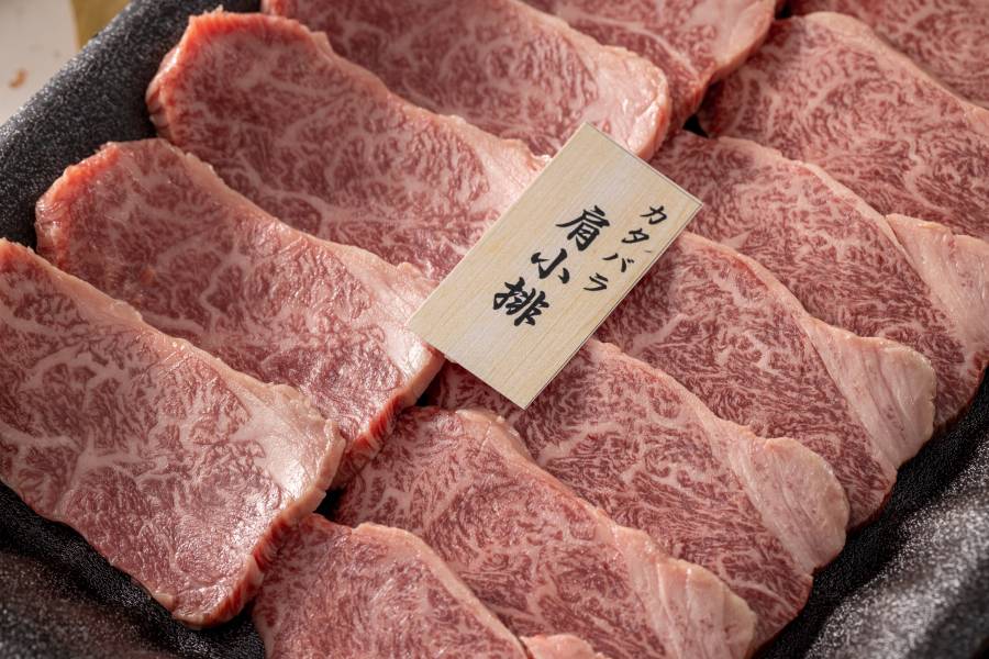 肩小排 日本和牛 肩小排 台中燒肉 極上燒肉 cp值