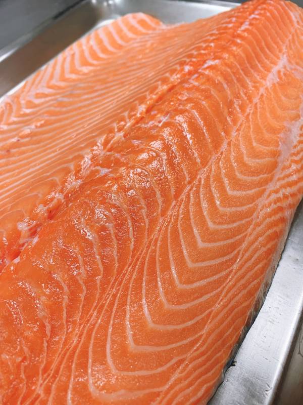 鮭魚- 