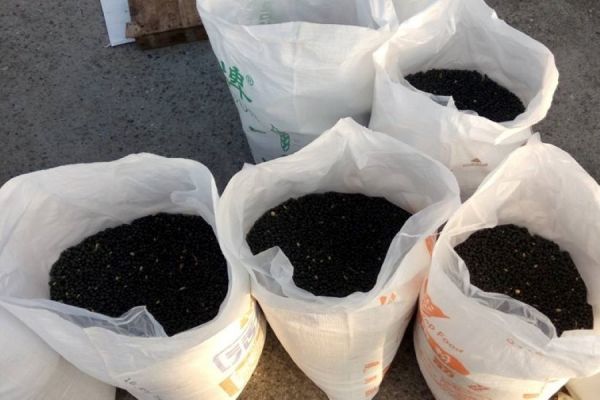 有機黑豆粉 黑豆,有機黑豆,台南3號,黑豆粉,有機黑豆粉