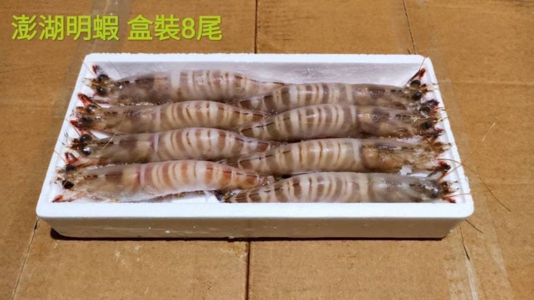 澎湖大明蝦 8尾/盒 (450g±5%) 