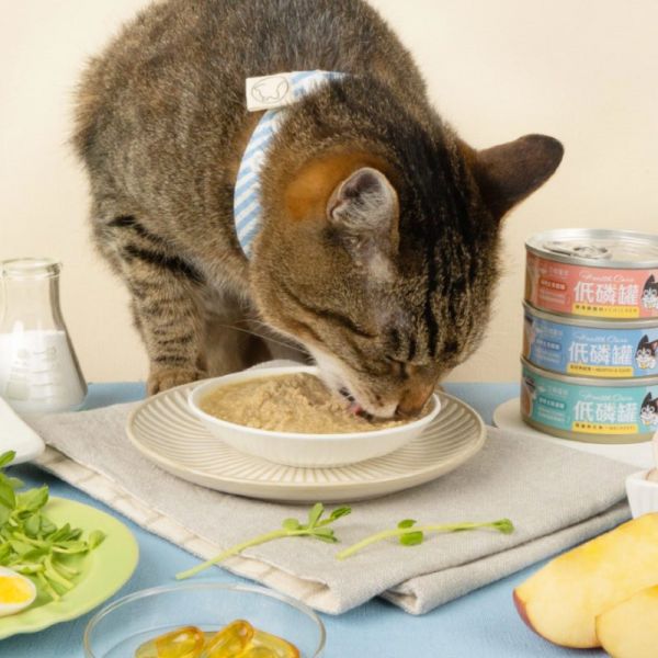 貓咪低磷低蛋白主食罐80g 