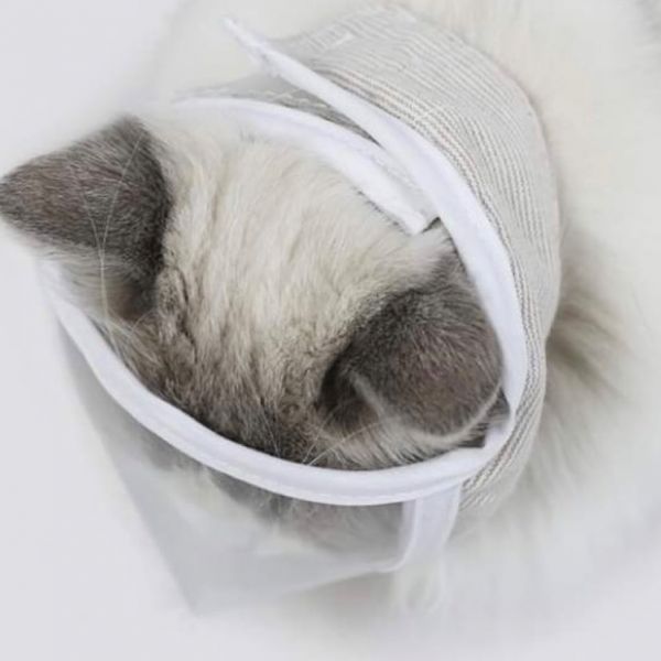 MIDALI(M)防咬傷透明貓頭罩 