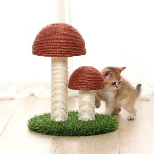 蘑菇+草坪 