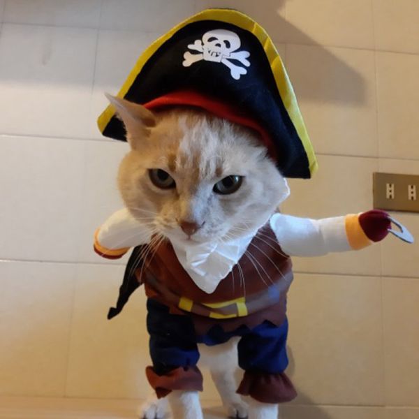 變身海盜裝 