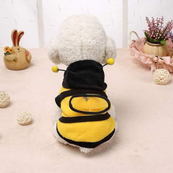 黃色蜜蜂裝 
