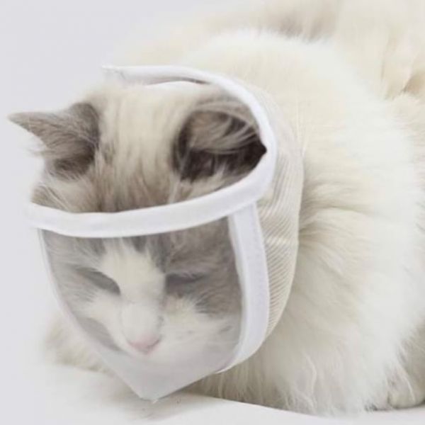 MIDALI(M)防咬傷透明貓頭罩 