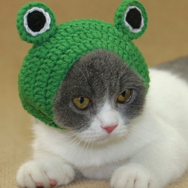 手工毛線綠青蛙帽 