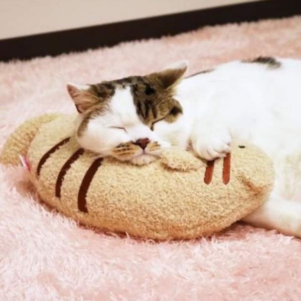 CattyMan貓用溫馨舒適造型枕 