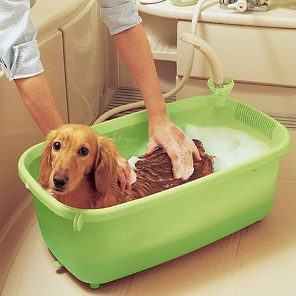 IRIS寵物澡盆/綠色 