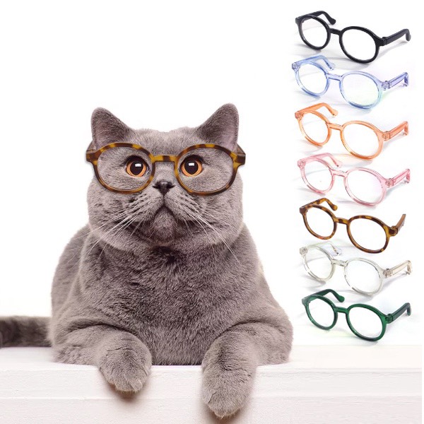 寵物塑膠透明眼鏡(不分色) 