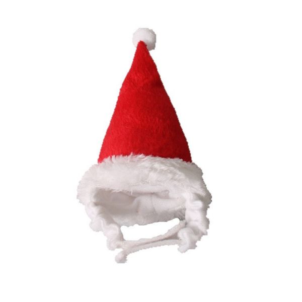 聖誕紅小帽 