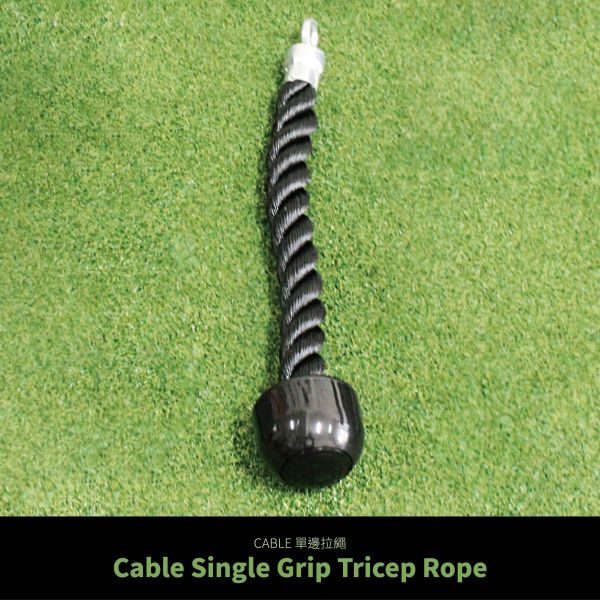 Cable 單頭拉繩 -二.三頭肌-彎舉下拉 
