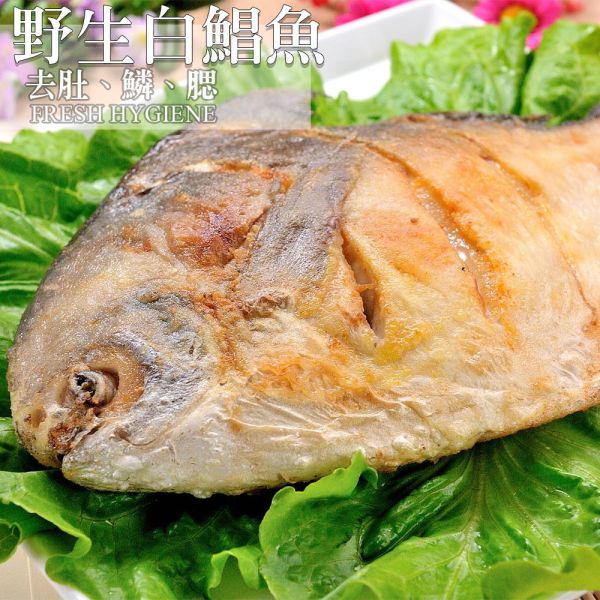 野生大白鯧350G 白鯧,鯧魚,大魚,台灣