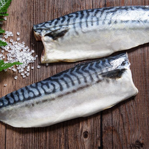 挪威薄鹽鯖魚25片裝規格S(免運) 挪威薄鹽鯖魚