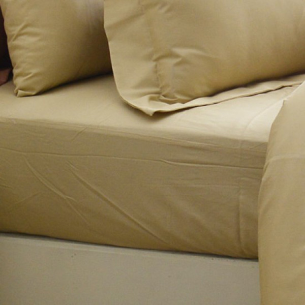 Cozy inn  加大 簡單純色-奶茶金-200織精梳棉床包 100%精梳棉,床包,精梳棉床包,奶茶金,加大
