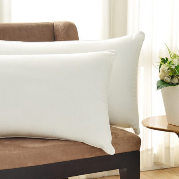 Cozy inn 抗菌透氣健康枕(2入) 抗菌枕頭,防蟎枕頭,透氣枕頭,純棉枕頭