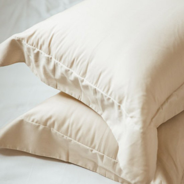 LAMINA  單人  純色-卡布奇諾 100%精梳棉三件式被套床包組 100%精梳棉,薄被套,被套床包組,精梳棉床包組,純色-卡布奇諾,單人