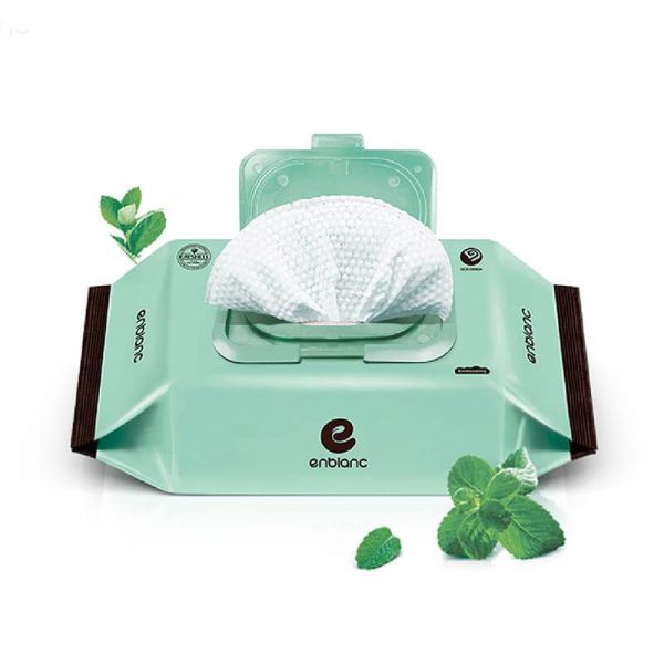 韓國ENBLANC 銀離子抗菌｜輕柔薄荷︱純水濕紙巾-有蓋大包｜72抽10包 