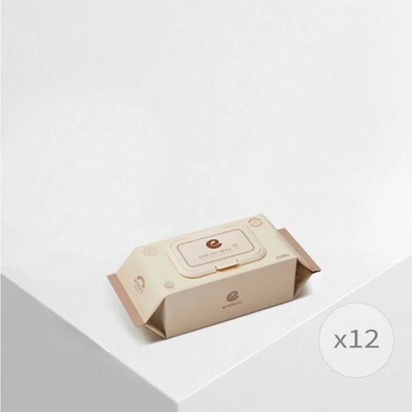 韓國ENBLANC 銀離子抗菌｜輕厚松針｜純水濕紙巾-有蓋隨身包｜24抽12包 