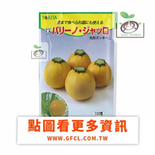 日本圓形黃色櫛瓜(夏南瓜)/種子-預購 