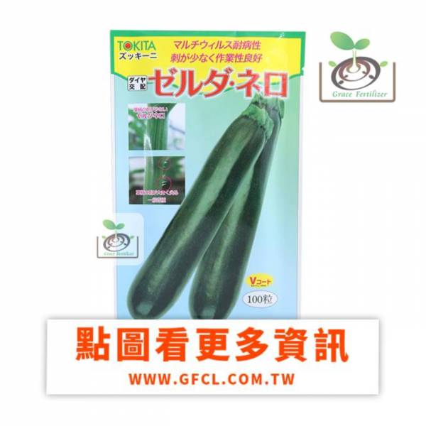 日本綠色長型櫛瓜(夏南瓜)/種子 
