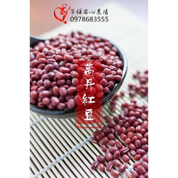 萬丹紅豆 