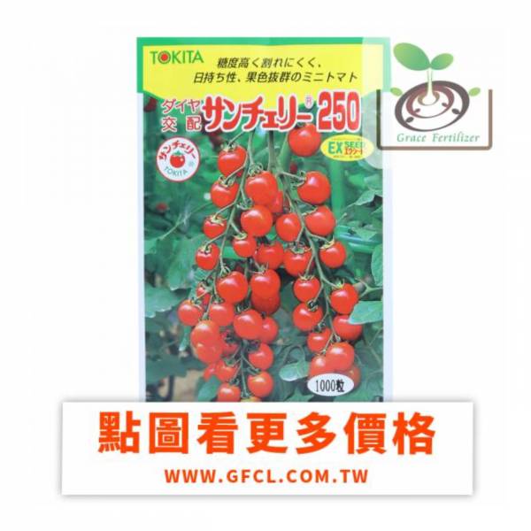 日本櫻桃番茄250- サンチェリ-250 