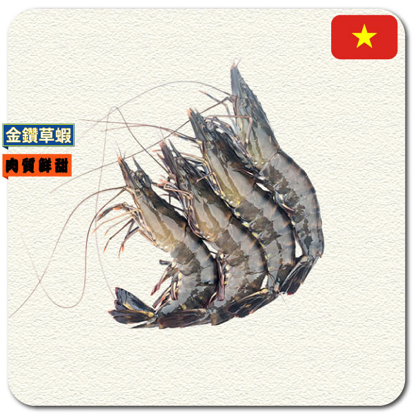 金鑽 8P大草蝦 250g 急速冷凍金鑽草蝦,台灣本土草蝦,台灣草蝦