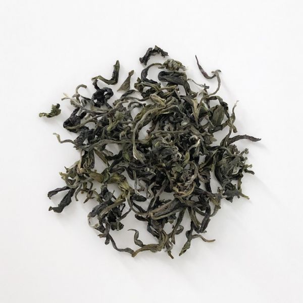 Sanxia Bi-Luo-Chun Green Tea 三峽碧螺春綠茶 2023 冬茶 Winter Tea 