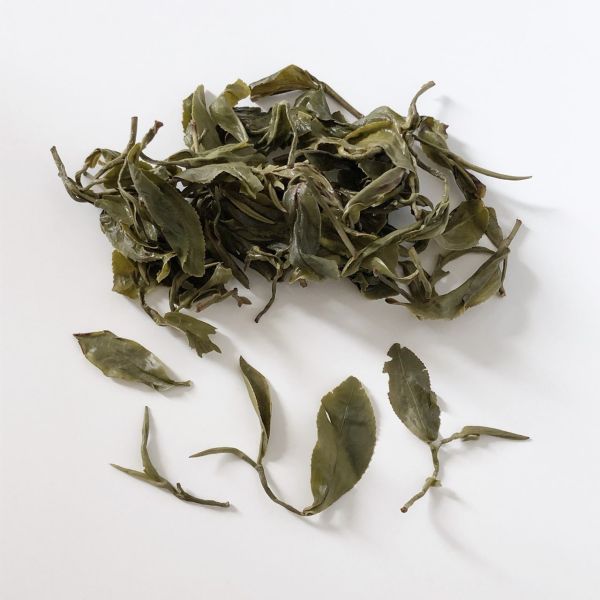 Sanxia Bi-Luo-Chun Green Tea 三峽碧螺春綠茶 2024 春茶 Spring Tea 