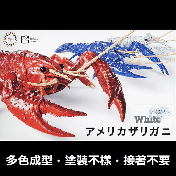 美國螯蝦 白色 FUJIMI 自由研究24EX2 生物編 富士美 組裝模型 FUJIMI,自由研究,生物,美國螯蝦,紅色,藍色,白,