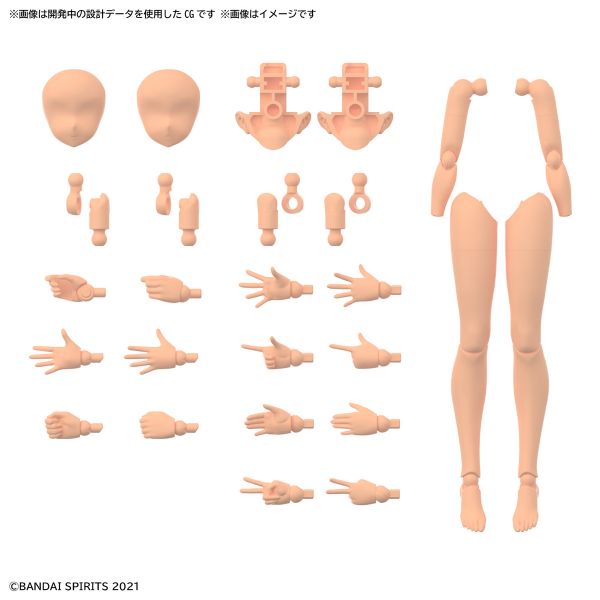 BANDAI 30MS 身體配件套組 手＆腳 顏色C 組裝模型 BANDAI,30MS,身體配件套組,手,＆,腳,顏色C,組裝模型,