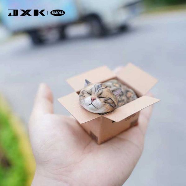 JXK 1/6 快遞貓 全4種 分別販售 JXK,1/6,快遞貓,全4種,分別販售,